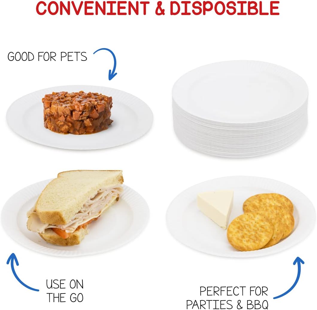 Hygloss Products Paper Plates - Uncoated White Plate - Use for Foodware, Events, Activities, Crafts Projects and More - Environmentally Friendly - Recyclable and Disposable - 6-Inches - 100 Pack