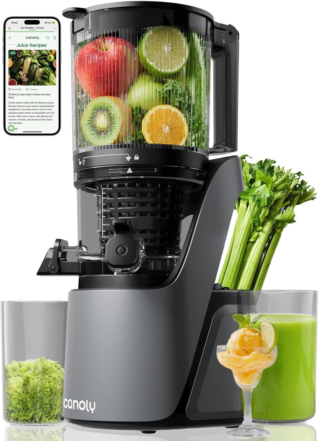 Canoly C16 Cold Press Juicer, 6" Extra Wide Feed Chute, 3-IN-1 Strainers (Juice & Sorbet & Nut Milk), Powerful AC Brushless Motor, Self Precut System, Juicer Machines with BPA-Free (Space Gray)