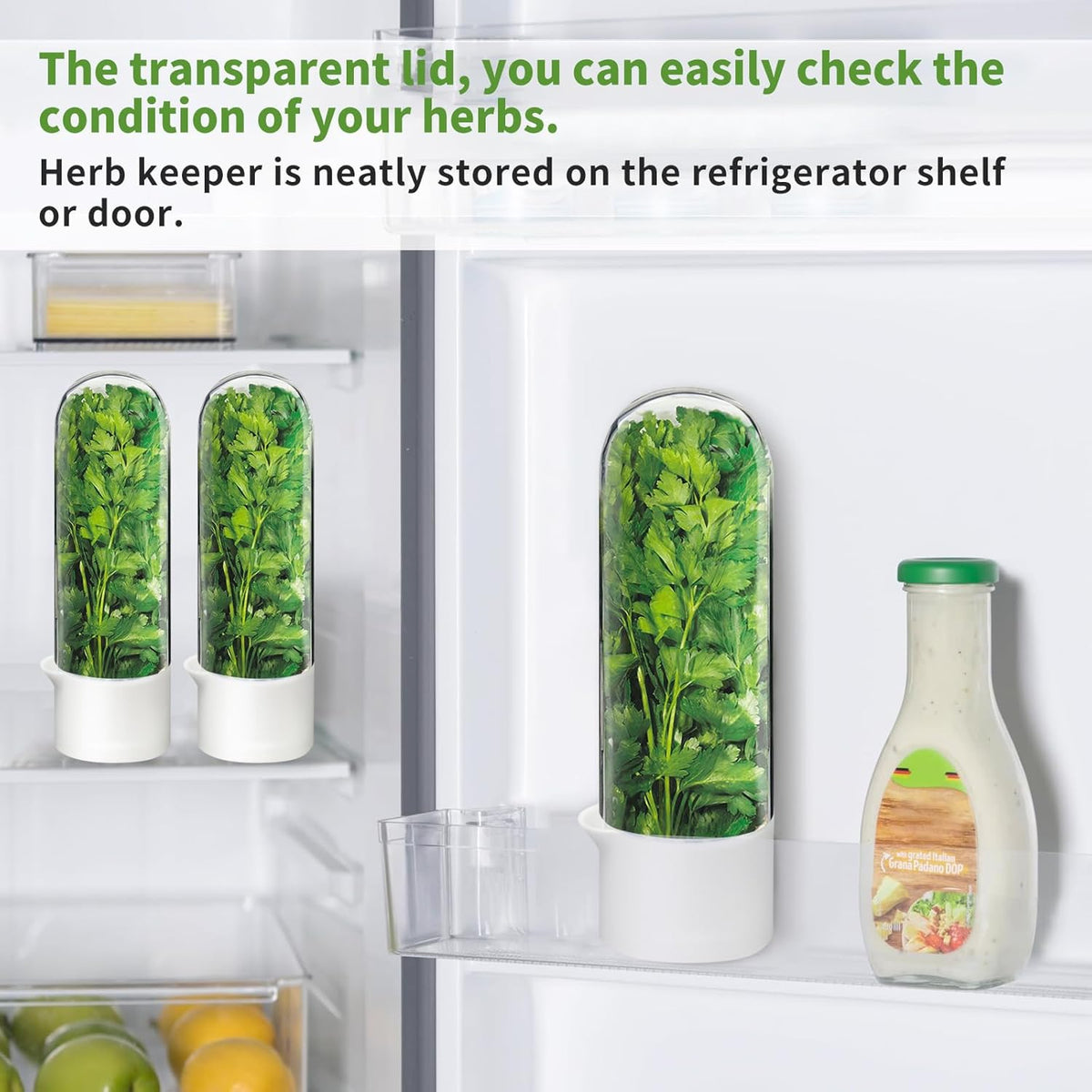 Herb Keeper for Refrigerator, Herb Saver for Refrigerator, Vegetable Preservation Bottle for Cilantro, Mint, Parsley, Asparagus, Keeps Greens Fresh for 2-3 Weeks (1PCS)