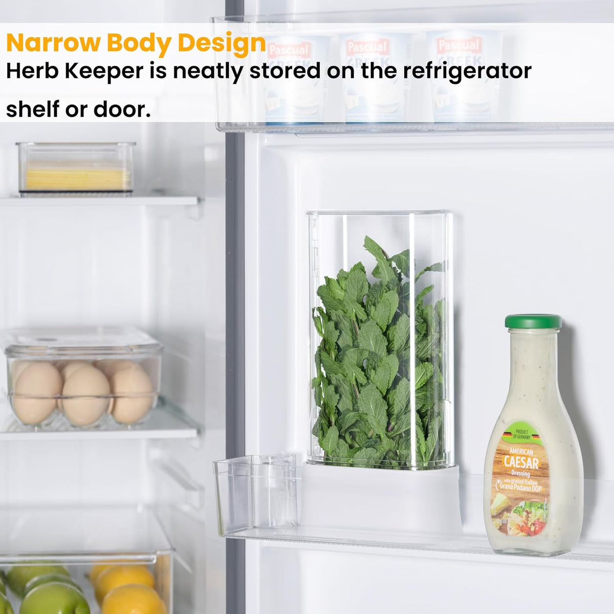 vacane Herb Keeper for Refrigerator, Fresh Herb Saver Herb Storage Containers, Cilantro Container for Fridge Asparagus Container, Dishwasher Safe-2 Pack