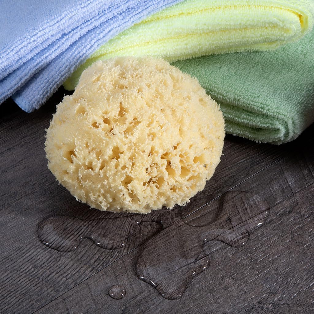 Sea Wool Sponge - All Natural Honeycomb Renewable Sea Sponge, Medium, Approx. 4 Inches