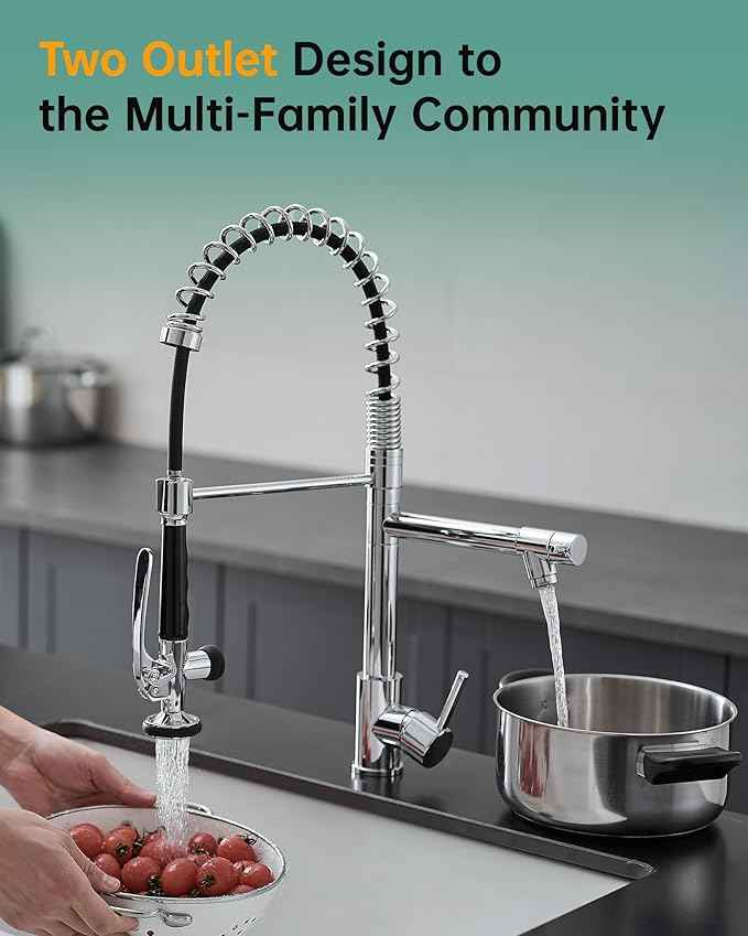 Fapully Chrome Kitchen Faucet with Sprayer,Commercial Single Handle Pull Down Kitchen Sink Faucet