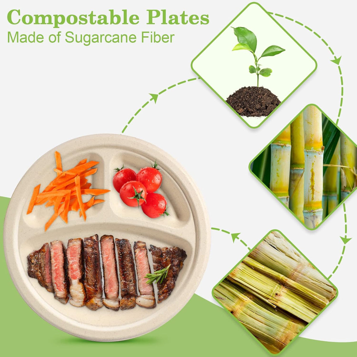 9 inch 3 Compartment Paper Plates - 50 Pack, Heavy Duty, Divided, Compostable