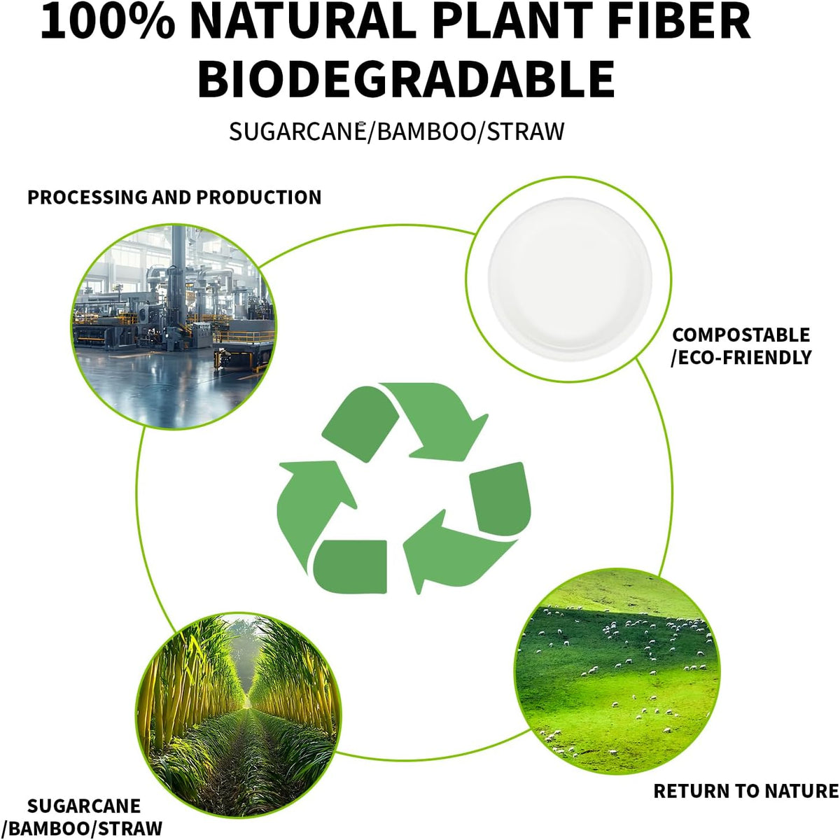 Compostable Paper Plates 9 Inch - 100% Biodegradable, Heavy Duty Eco-Friendly Disposable Plates for Camping，Parties, Weddings, BBQ (150 Pack) (9" White Plates)