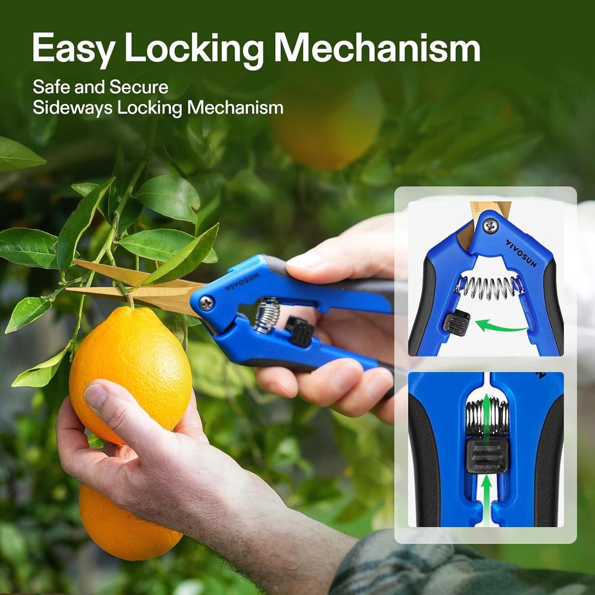 VIVOSUN 2-Pack Curved Gardening Scissors 6.5 Inch Hand Pruner Shear with Titanium Coated Precision Blades (Curved Blades)
