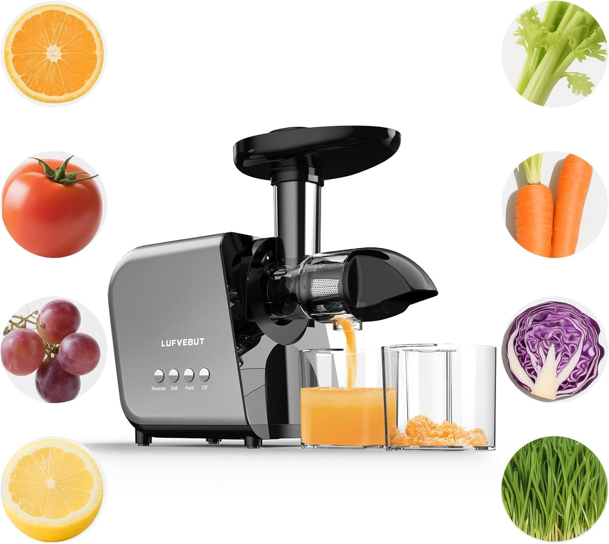 Slow Clod Press Juicer for Fruits Vegetables Celery Carrot Ginger, Masticating Juicer Machine Soft Hard Reverse Function,250W Motor,Easy To Clean, Fresh Orange Juice Extractor