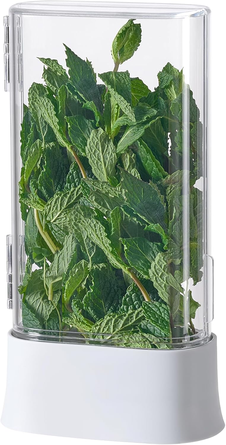 vacane Herb Keeper for Refrigerator, Fresh Herb Saver Herb Storage Containers, Cilantro Container for Fridge Asparagus Container, Dishwasher Safe