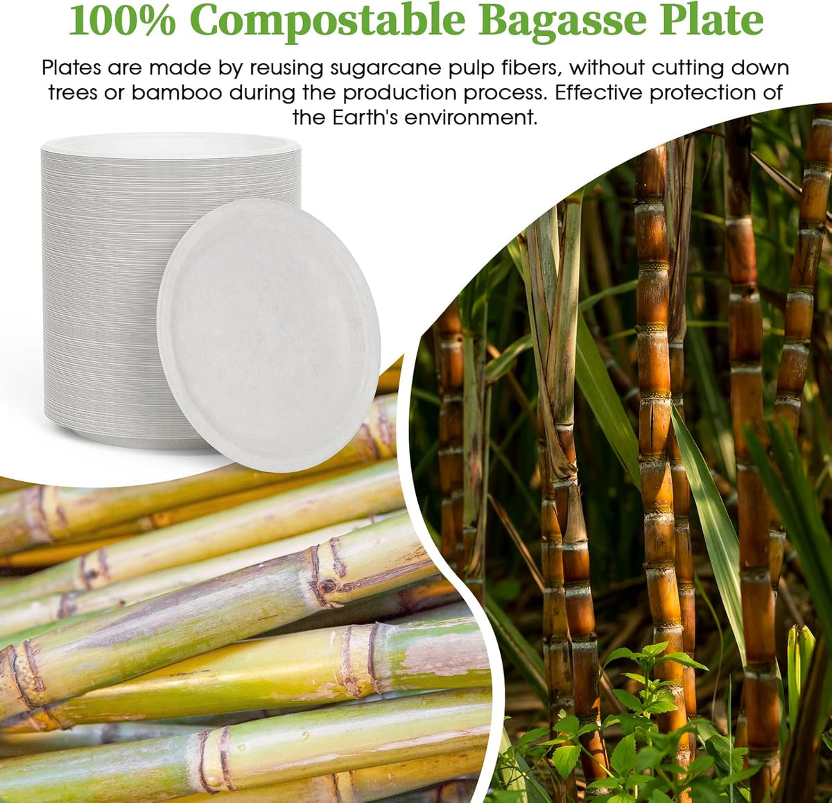 ECOLipak 6 Inch Disposable Compostable Small Paper Plates, 500 Pack Recycled Sugarcane Bagasse Biodegradable Heavy Duty Mini Dinner Appetizer Cake Dessert Plates for Party(White)