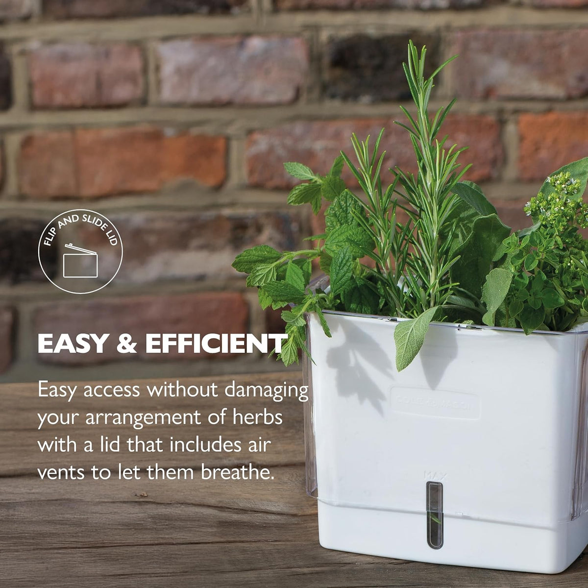 Cole & Mason Fresh Herb Keeper - Acrylic Storage Container for Refrigerator - Storage for Herbs & Vegetables for Fridge - Fresh Herb Keeper