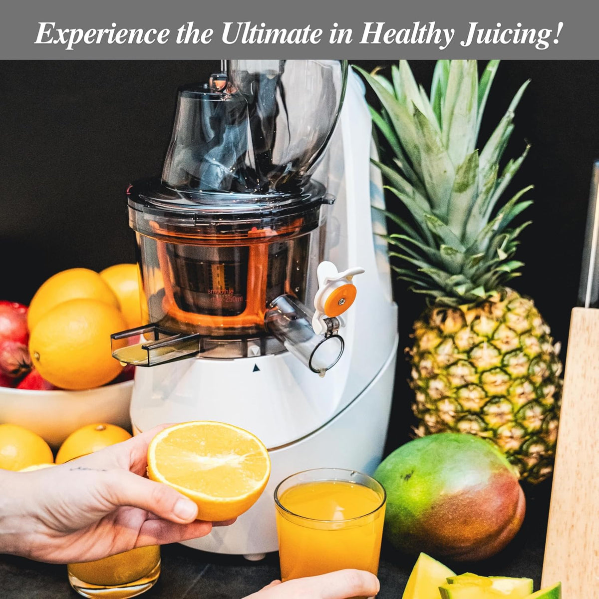 Cold Press Slow Masticating Juicer, Ultra-Quiet 240W Motor, Maximized Juice Yield, Included Frozen Dessert Strainer, Drip-Free Cap - White