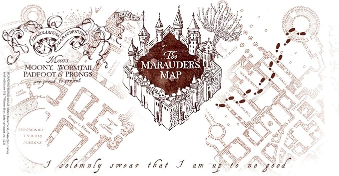 Tervis Harry Potter The Marauder's Map Made in USA Double Walled Insulated Tumbler Travel Cup Keeps Drinks Cold & Hot, 24oz Venture Lite Water Bottle, Classic