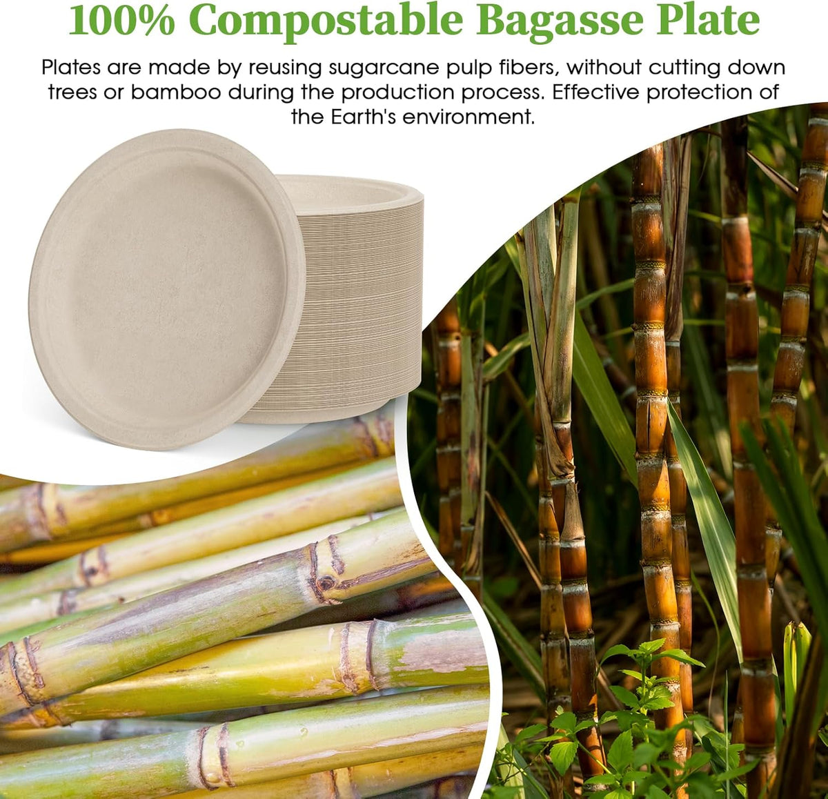 ECOLipak Paper Plates 10 Inch, 150 Pack Compostable Heavy Duty Disposable Biodegradable Sugarcane Bagasse Eco Friendly Paper Plates for Party Dinner
