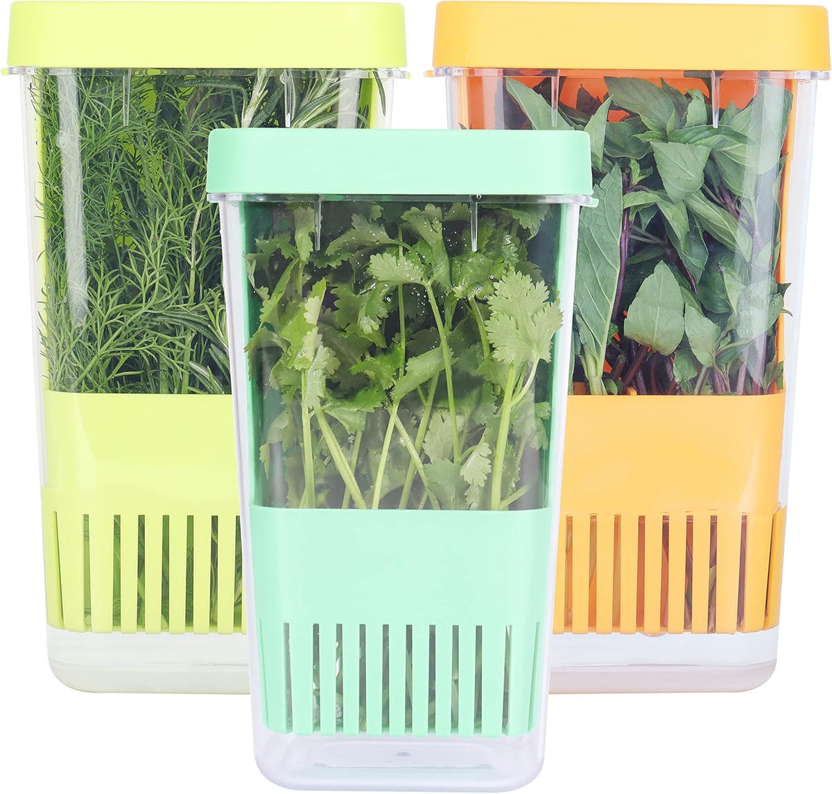 3 Pack Herb Keeper, BPA-Free Plastic Herb Saver with an Inner Basket for Cilantro, Mint, Parsley, and Asparagus, Keeps Fresh Herbs for 3 Times Longer