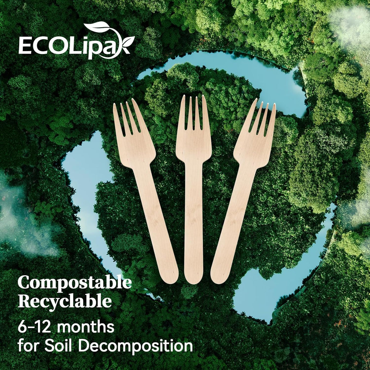 ECOLipak 300 Count Wooden Forks Disposable, Wooden Disposable Compostable Forks for Eating, Party, Camping, Traveling, Family Dinners
