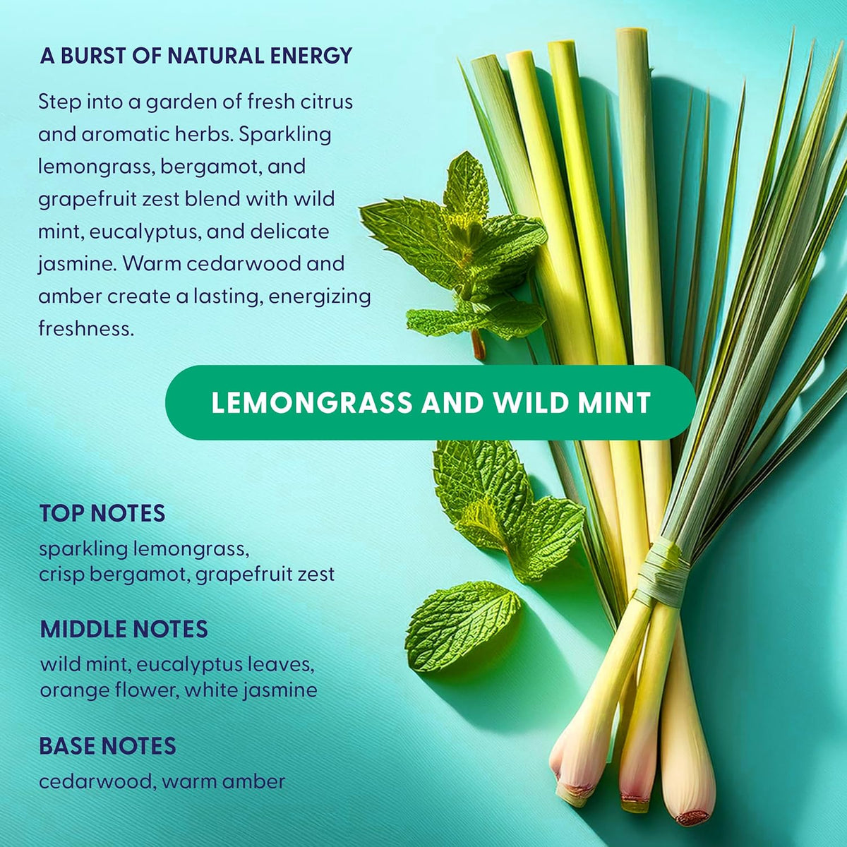 Natural Dishwasher Pods | Plant-Based Enzyme Dishwasher Detergent, Lemongrass & Wild Mint, Eco-Friendly, Tough on Grease & Food Residue, 60 Count